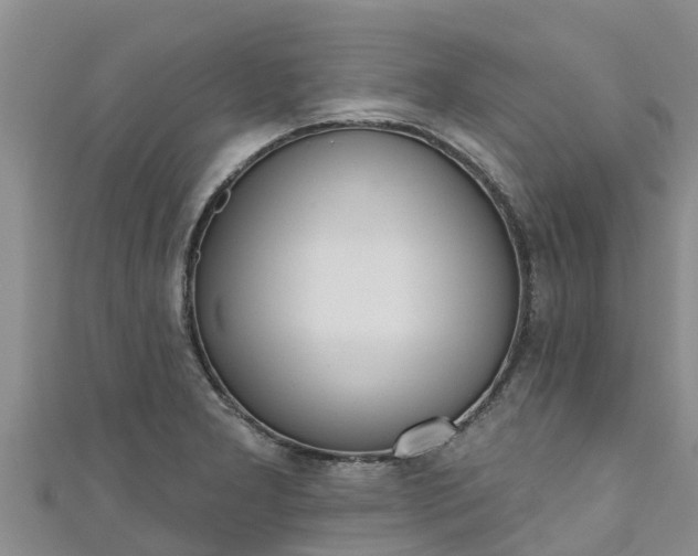 X0000111181277200907081228