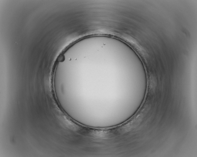 X0000111181278200907081228