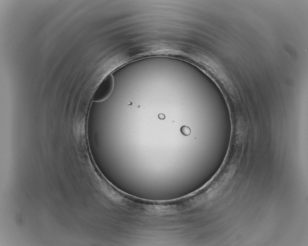 X0000111181281200907081228