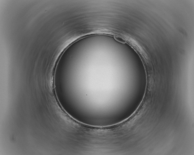 X0000111181284200907081228