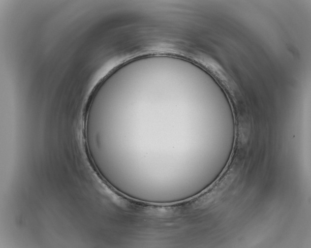 X0000111181286200907081228