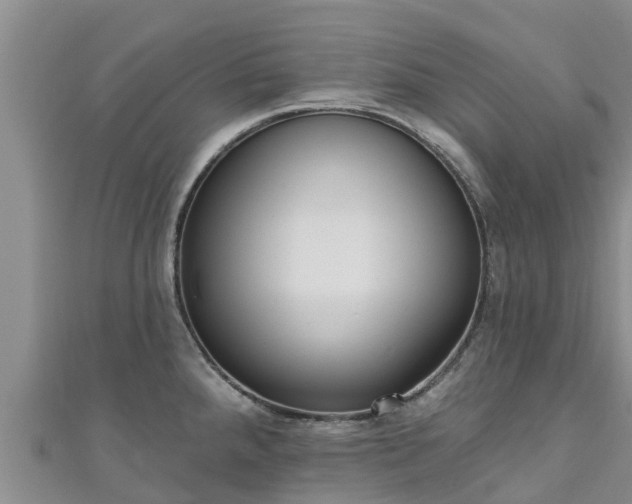 X0000111181288200907081228