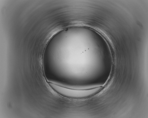 X0000111181289200907081228