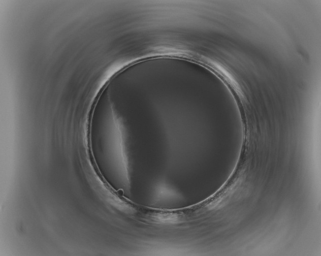 X0000111181291200907081228