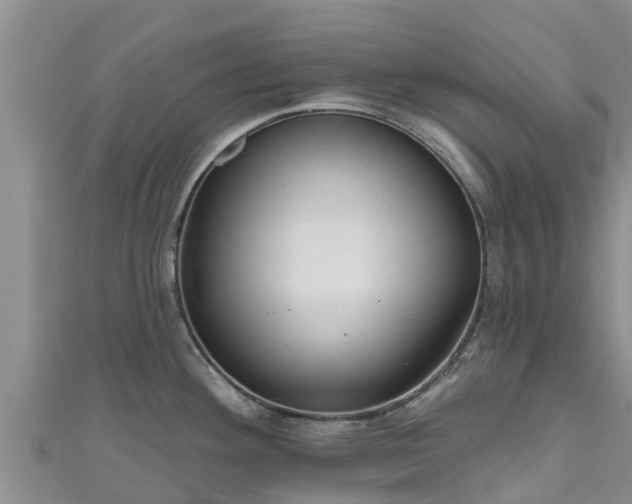 X0000111181292200907081228