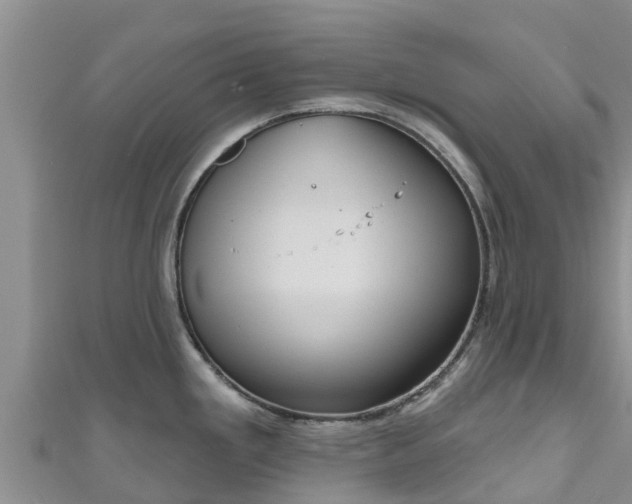 X0000111181293200907081228