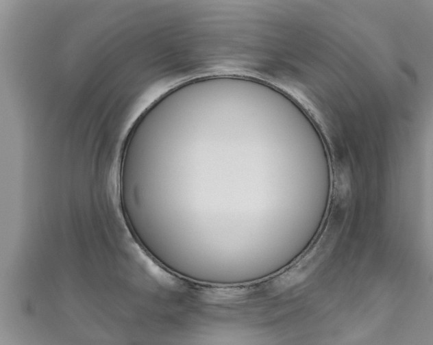 X0000111181294200907081228