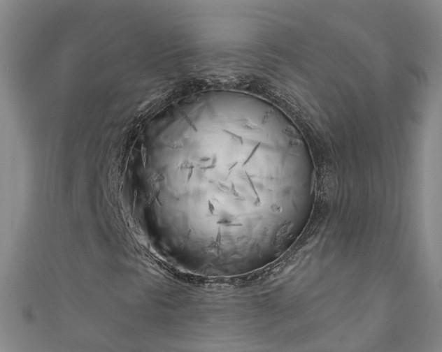 X0000111181297200907081227