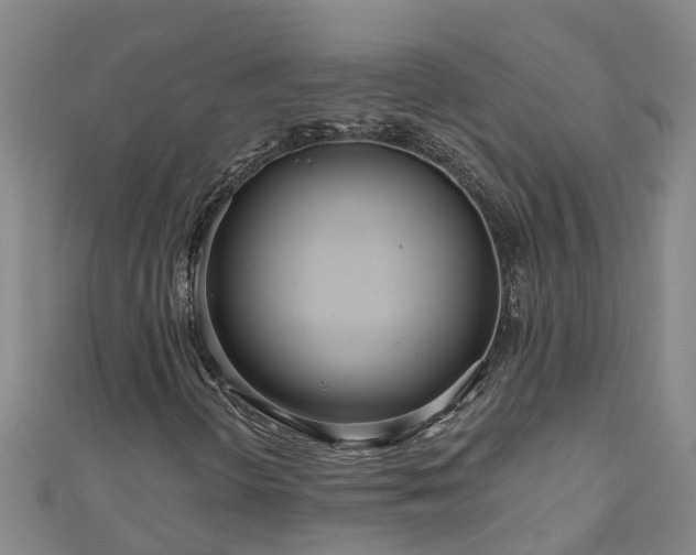 X0000111181298200907081227