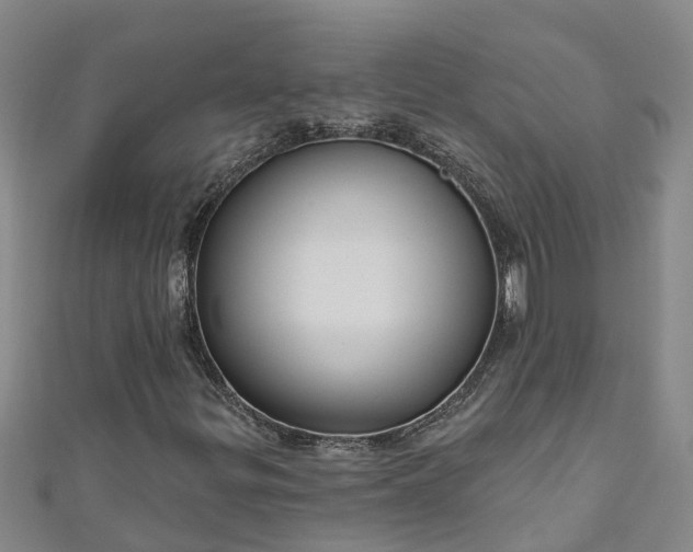 X0000111181299200907081227