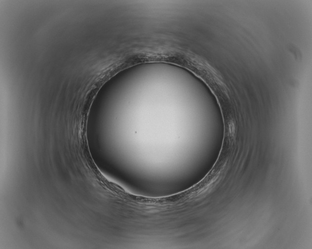 X0000111181300200907081227