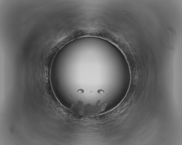 X0000111181301200907081227