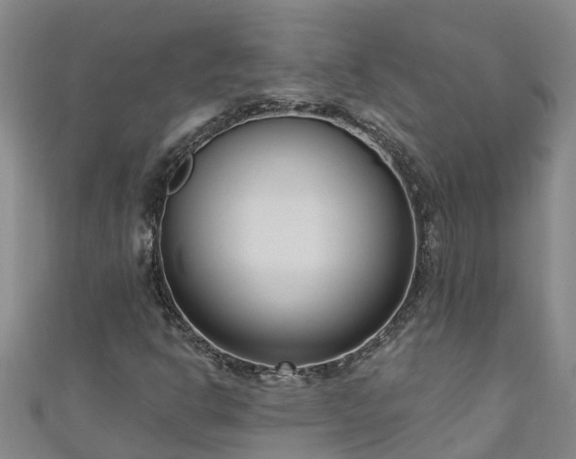 X0000111181302200907081227