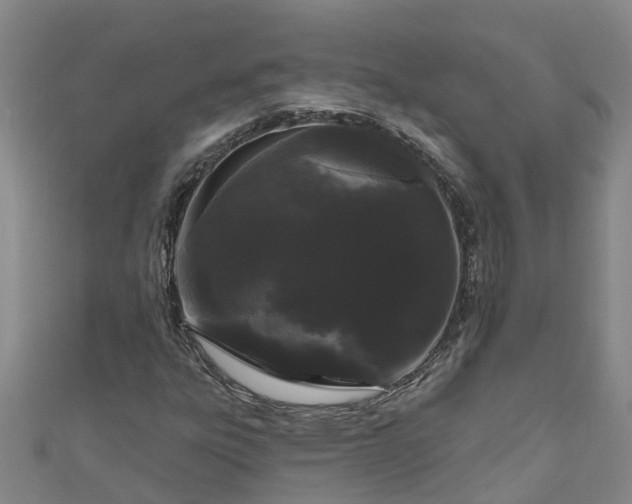 X0000111181303200907081227