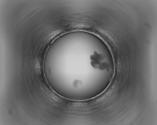 X0000111181305200907081227