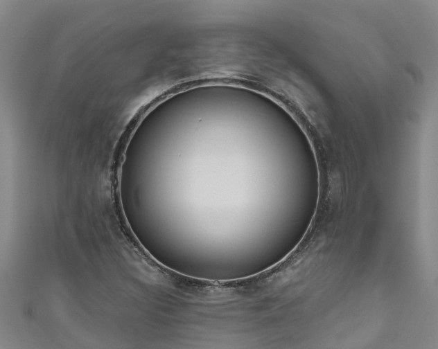 X0000111181308200907081227