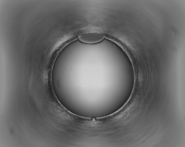 X0000111181309200907081227