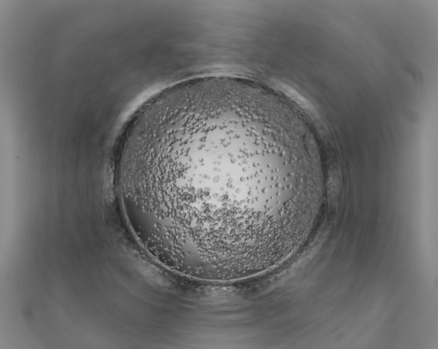 X0000111181310200907081227