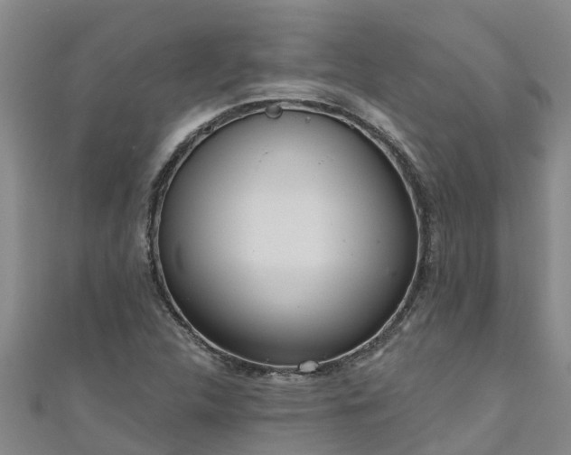 X0000111181312200907081227