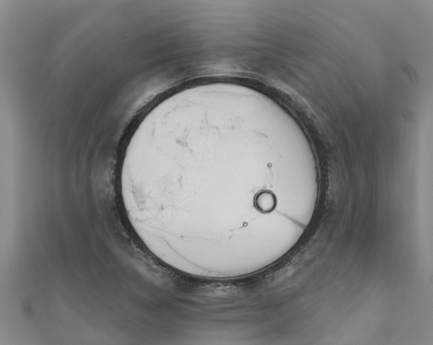 X0000111181314200907081227