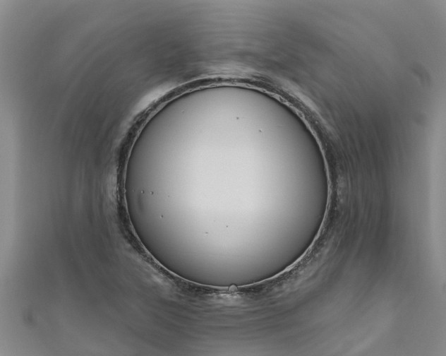 X0000111181315200907081227