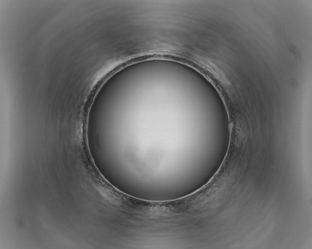 X0000111181316200907081227