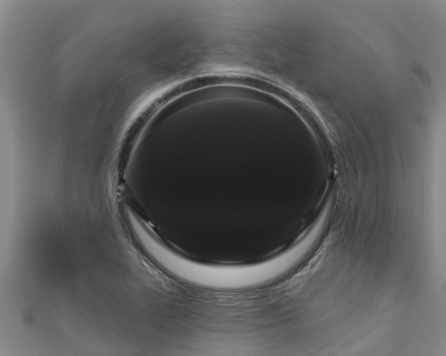 X0000111181319200907081227