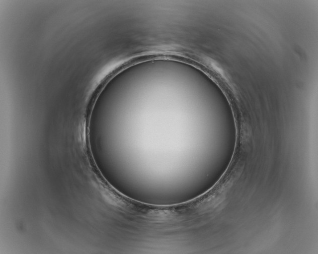 X0000111181320200907081227