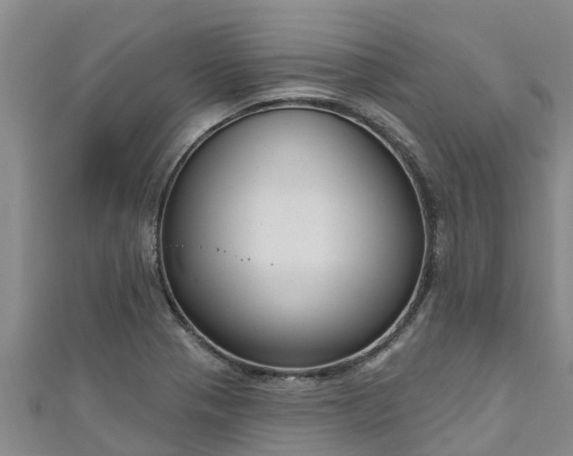 X0000111181321200907081227