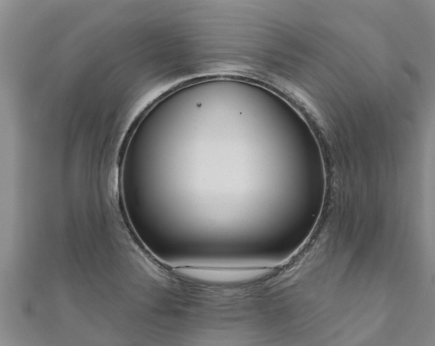 X0000111181324200907081227