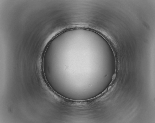 X0000111181325200907081227