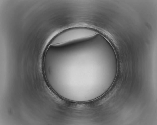 X0000111181326200907081227