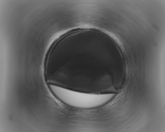 X0000111181327200907081227