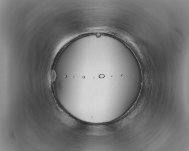 X0000111181328200907081227