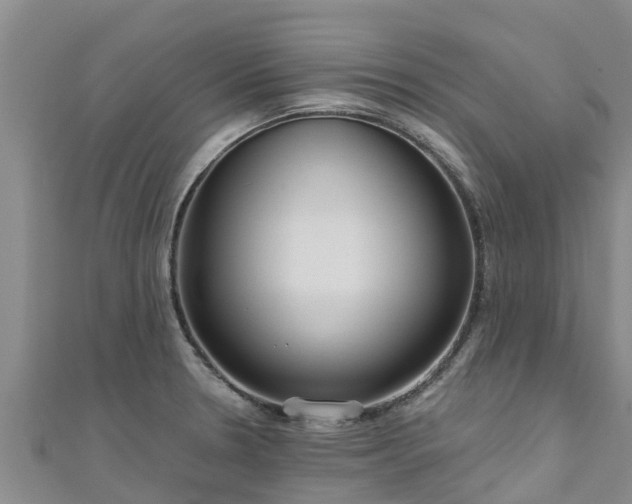 X0000111181330200907081227