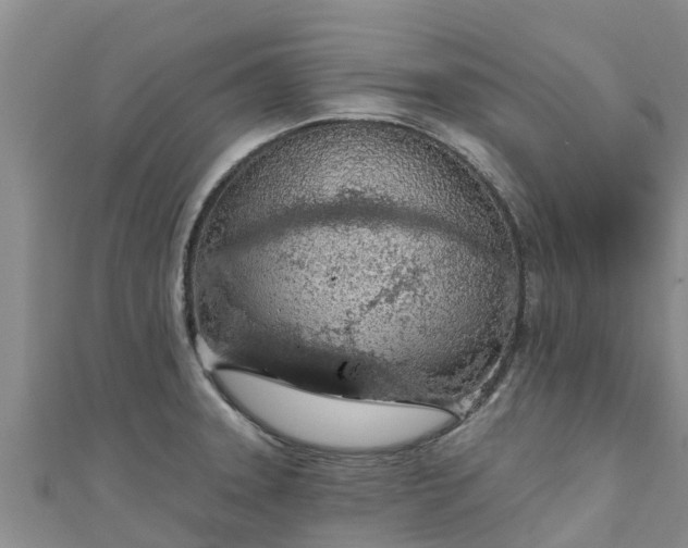 X0000111181331200907081227