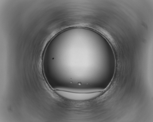 X0000111181332200907081228