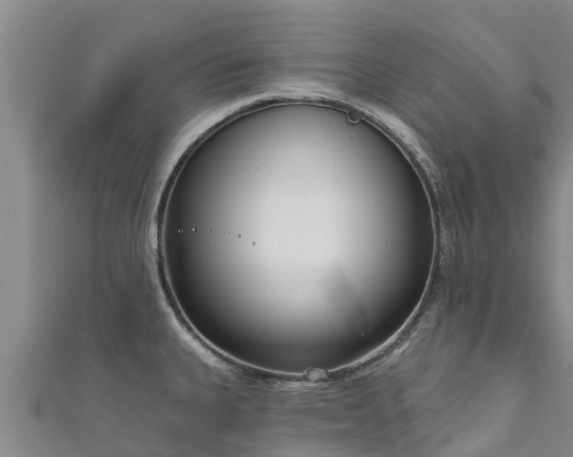 X0000111181335200907081228