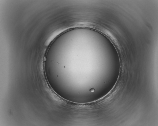 X0000111181336200907081228