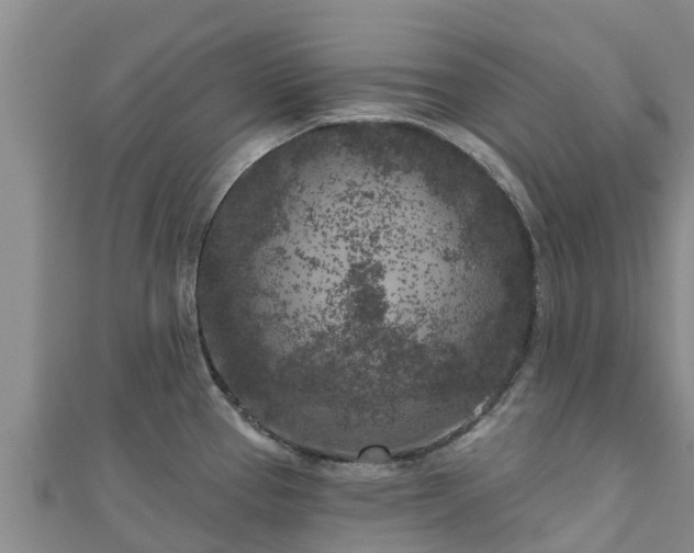 X0000111181337200907081228