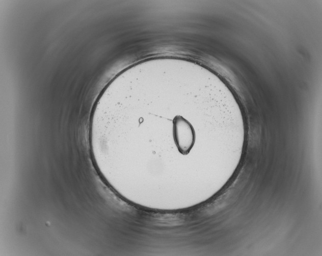 X0000111181338200907081228