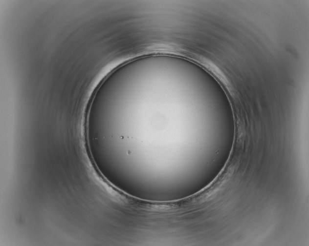 X0000111181339200907081228