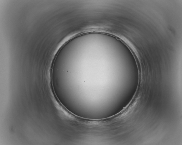 X0000111181341200907081228