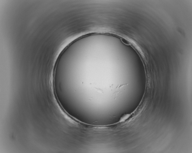 X0000111181343200907081228