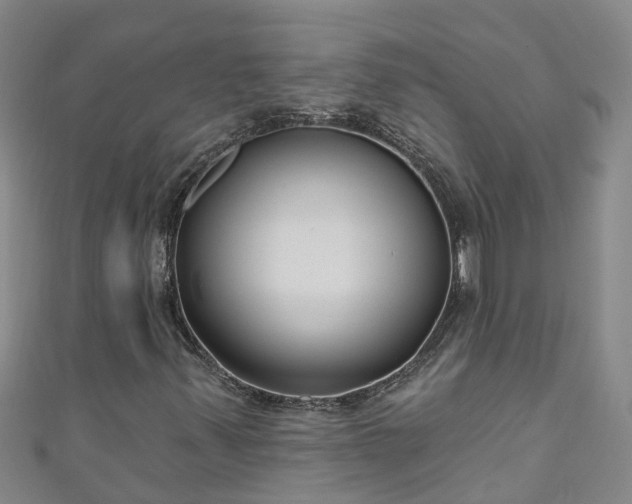 X0000111181347200907081227