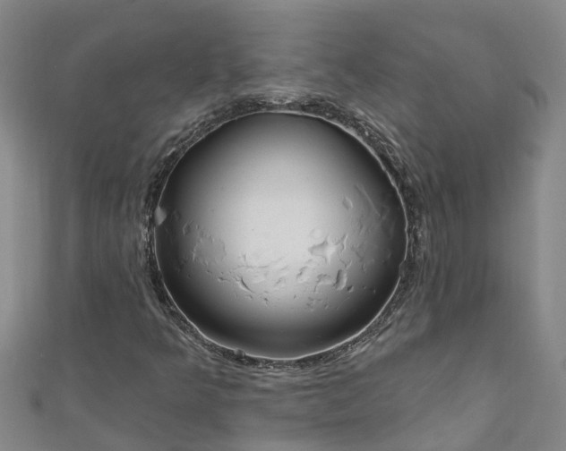 X0000111181349200907081227