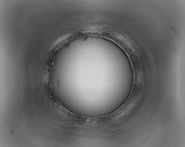 X0000111181350200907081227