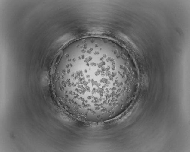 X0000111181353200907081227