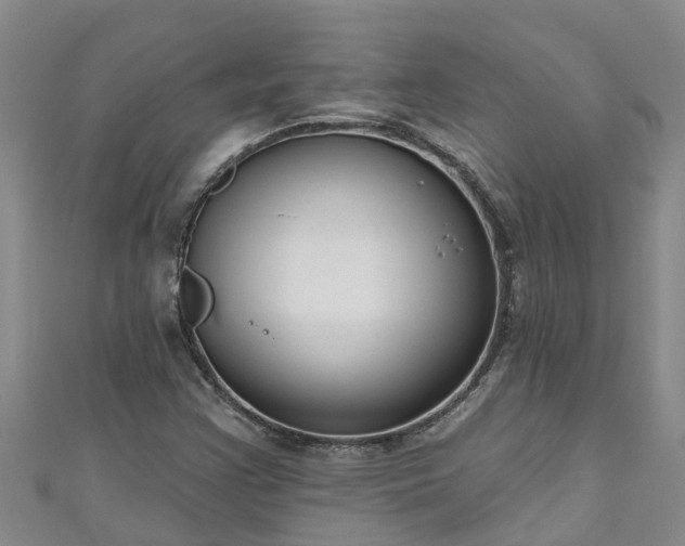 X0000111181355200907081227