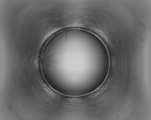 X0000111181356200907081227